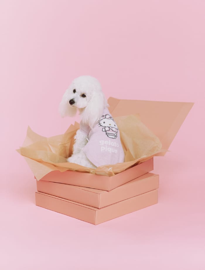 Cat & Dog イメージ01