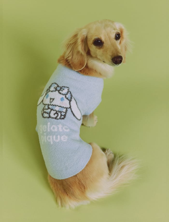 Cat & Dog イメージ02