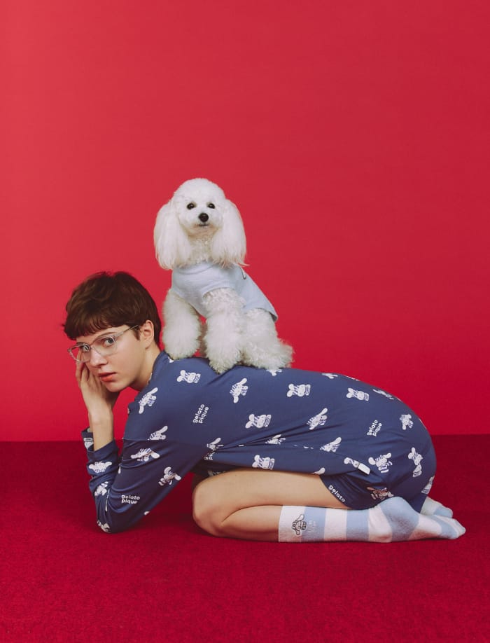 Cat & Dog イメージ03_2