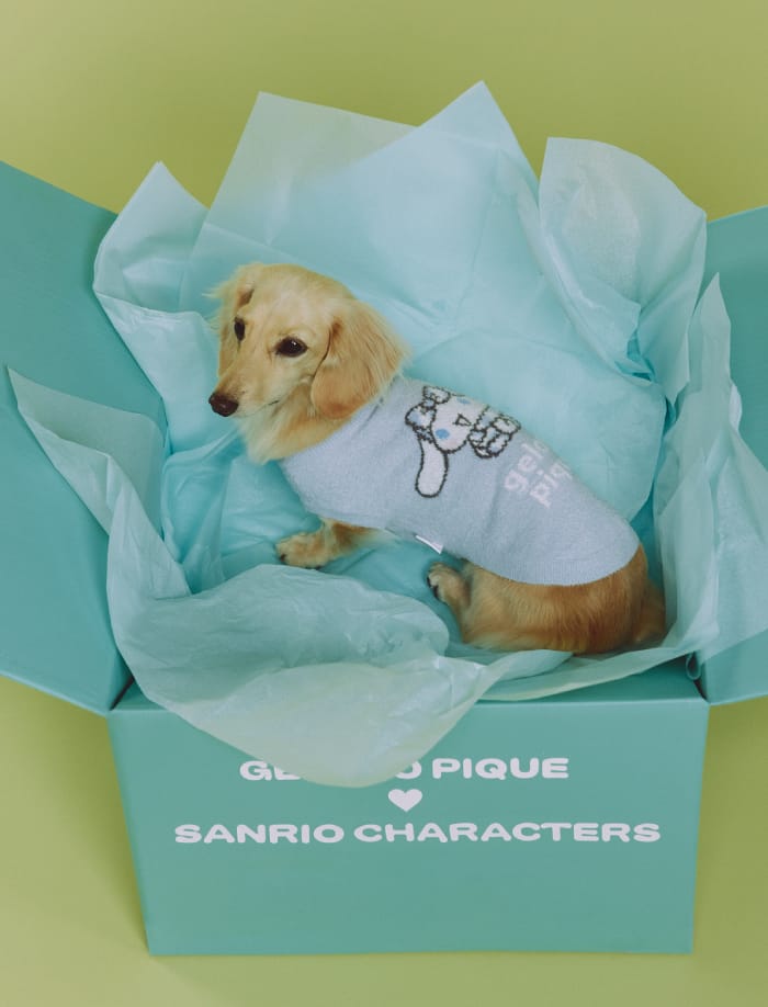 Cat & Dog イメージ04