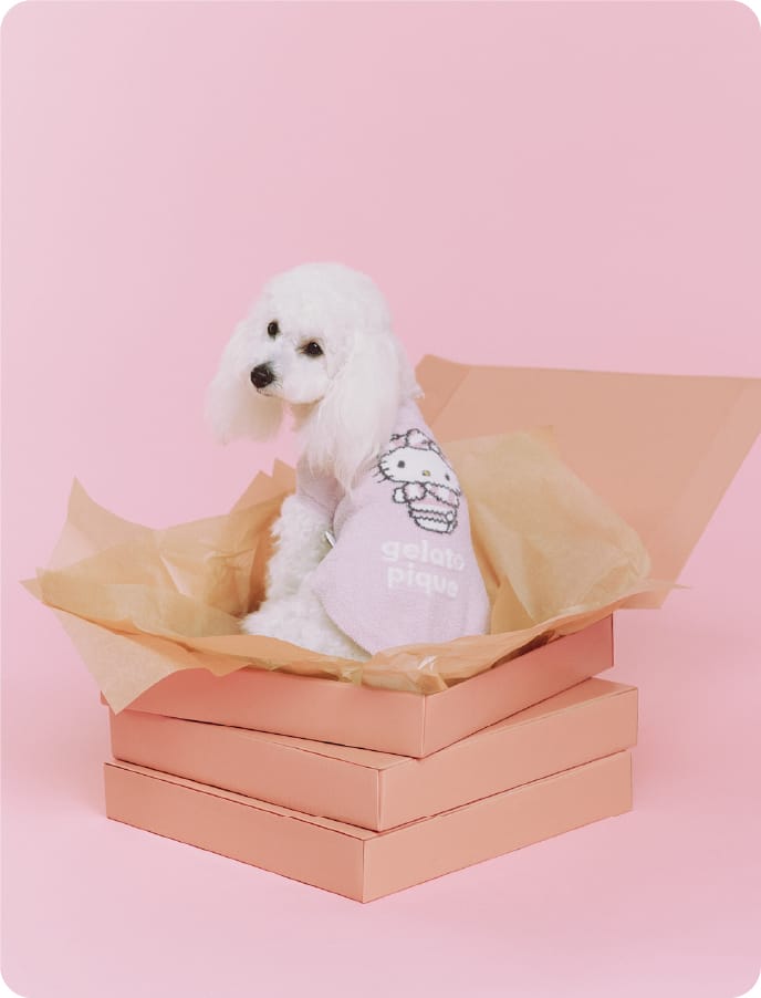 Cat & Dog イメージ01