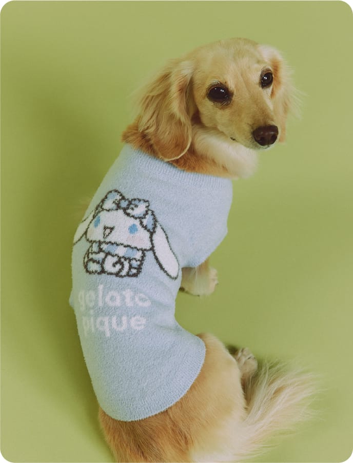 Cat & Dog イメージ02