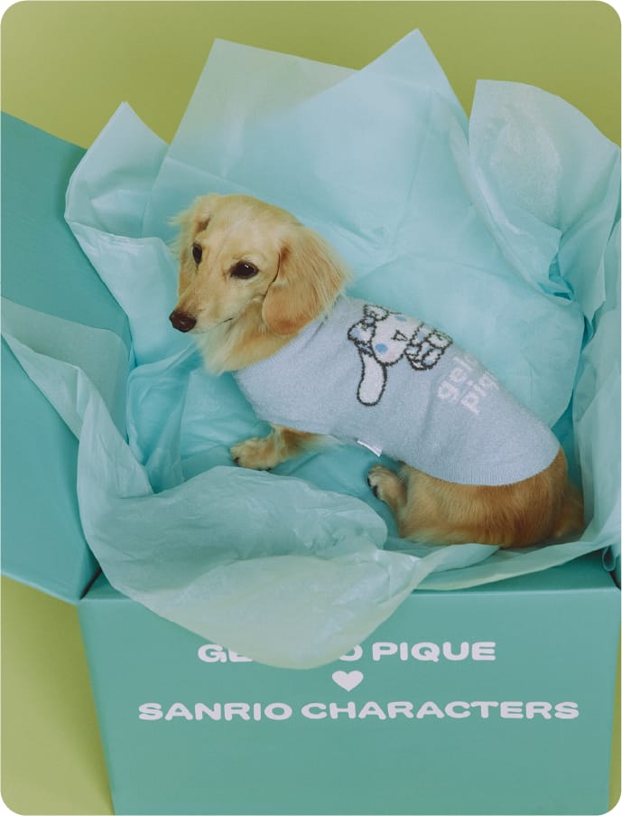 Cat & Dog イメージ04