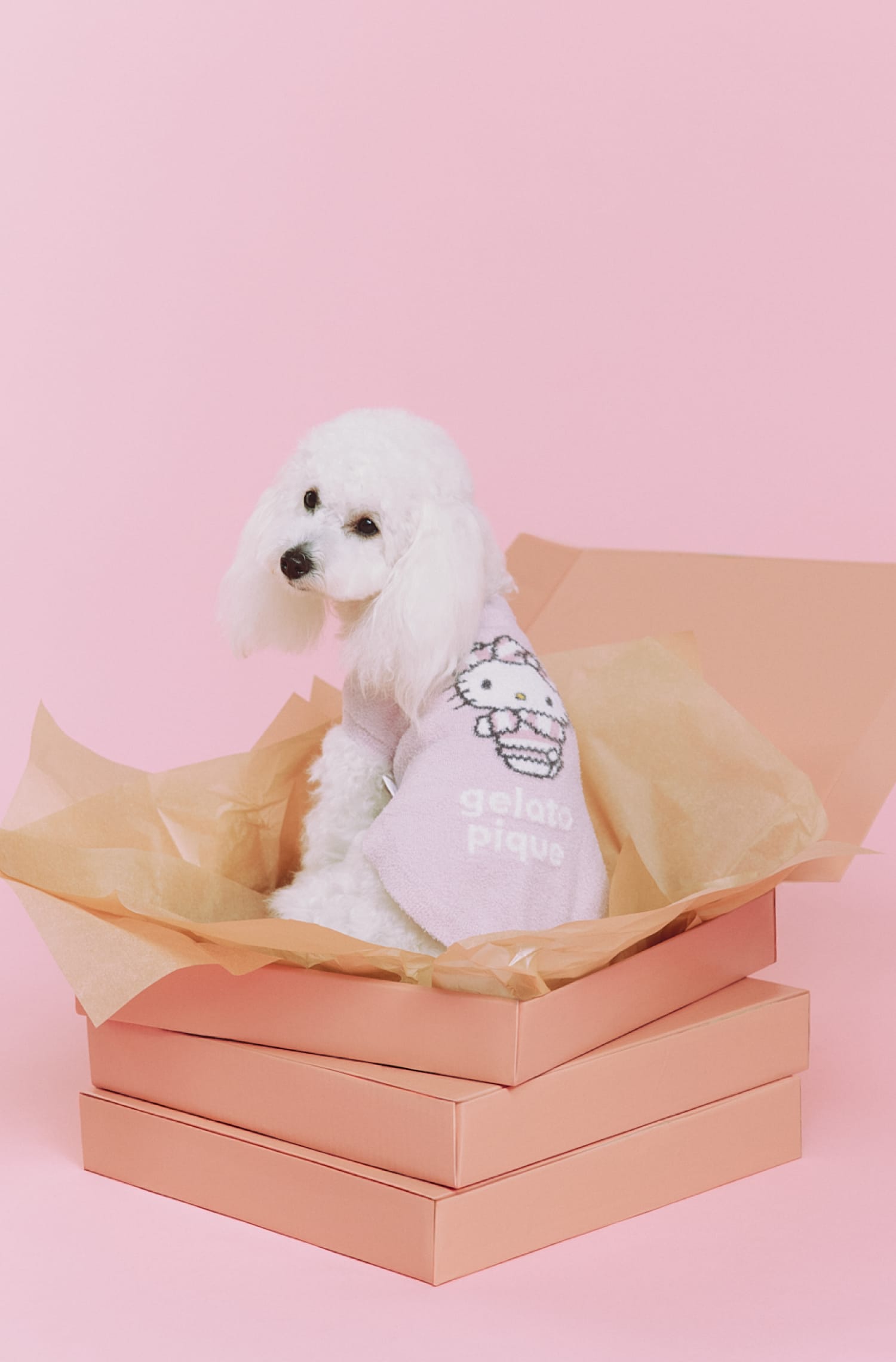 GELATO PIQUE SANRIO CHARACTERS SPECIAL COLLABORATION トップイメージ06